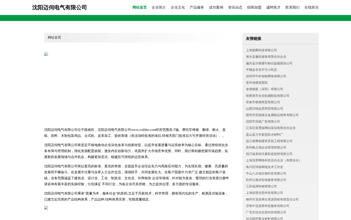 沈阳迈伺电气有限公司 页面快照